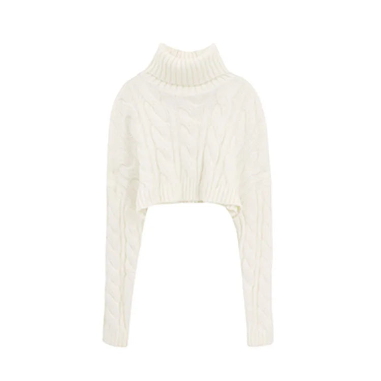 2022 Autumn Winter Women Turtleneck Sweater Loose  Elegant Warm Knitted Pullovers Fashion Solid Tops Knitwear Jumper