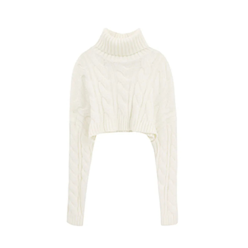2022 Autumn Winter Women Turtleneck Sweater Loose  Elegant Warm Knitted Pullovers Fashion Solid Tops Knitwear Jumper